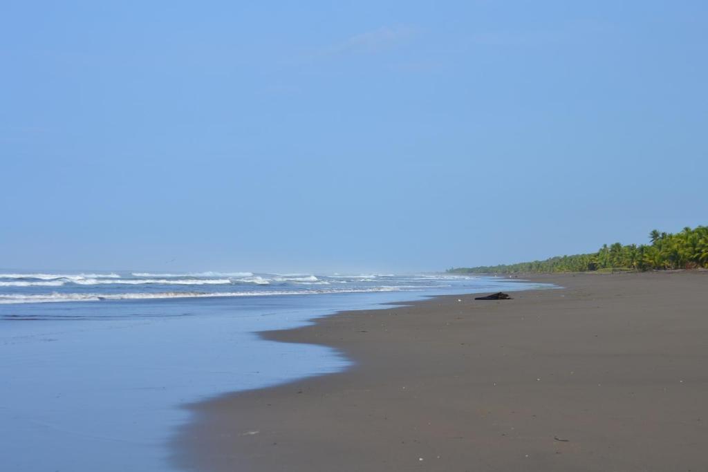 Hotel La Isla Parrita Bagian luar foto