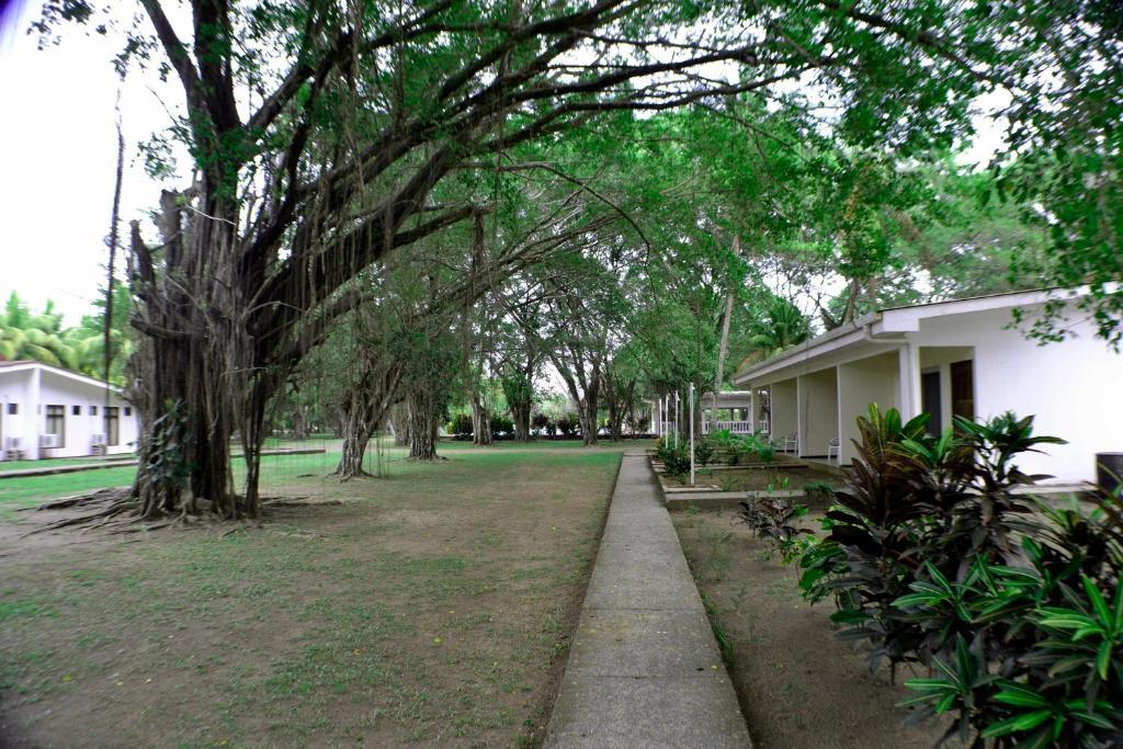 Hotel La Isla Parrita Bagian luar foto