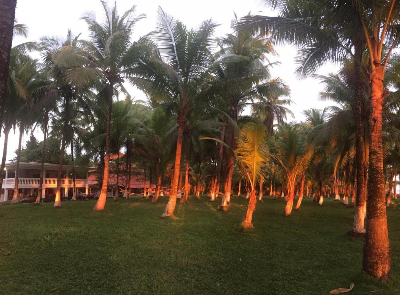 Hotel La Isla Parrita Bagian luar foto